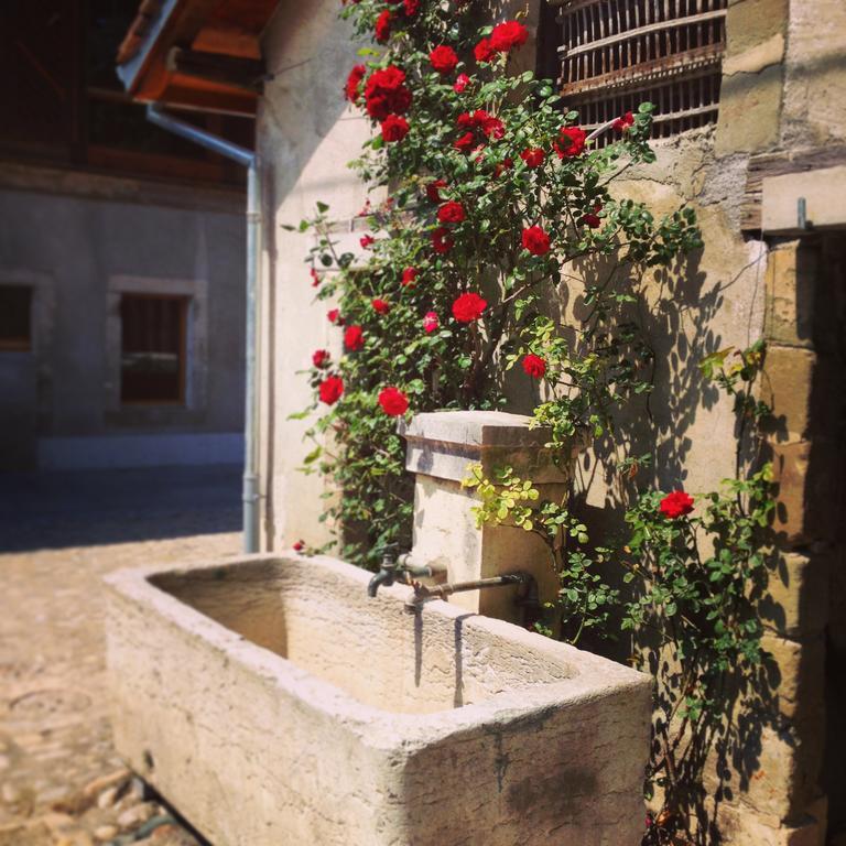 Hotel La Ferme Du Lignon Vernier Esterno foto